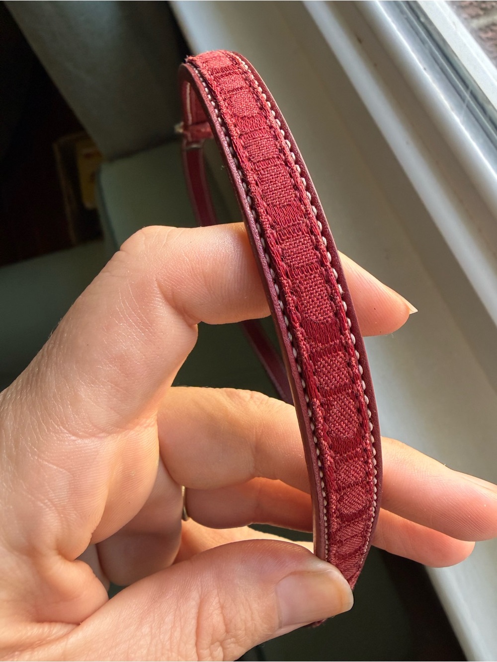 Red Coach Leather Dog Leash